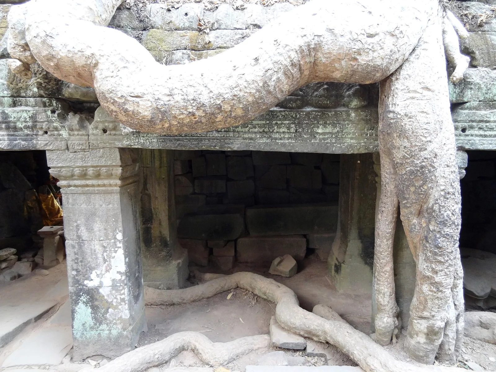 Massive tree roots engulf a stone doorway at Ta Prohm temple near Siem Reap.