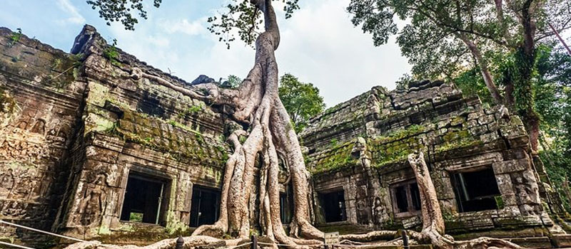A doorway at Ta Prohm framed by pale tree roots grown into the masonry